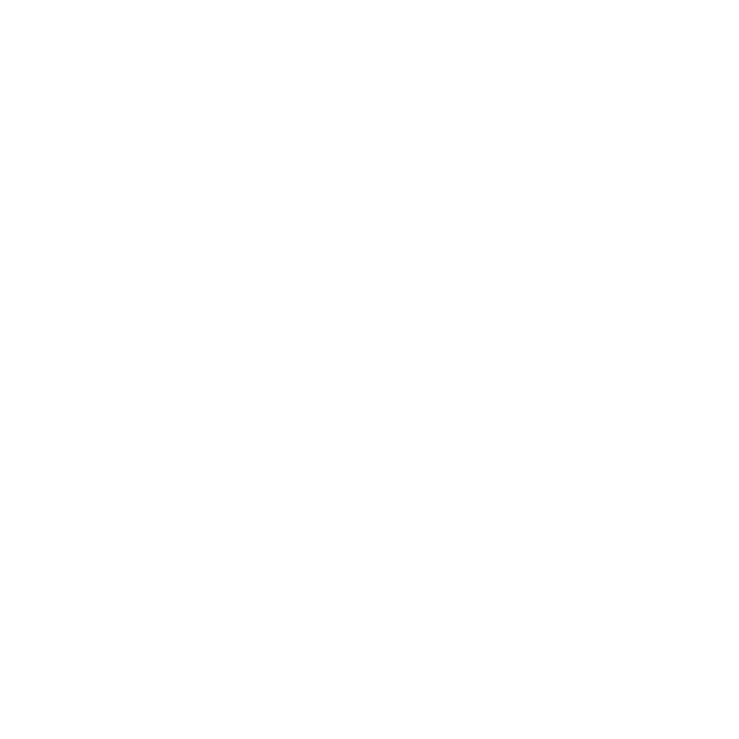 Lennert_Wolfs_Logo
